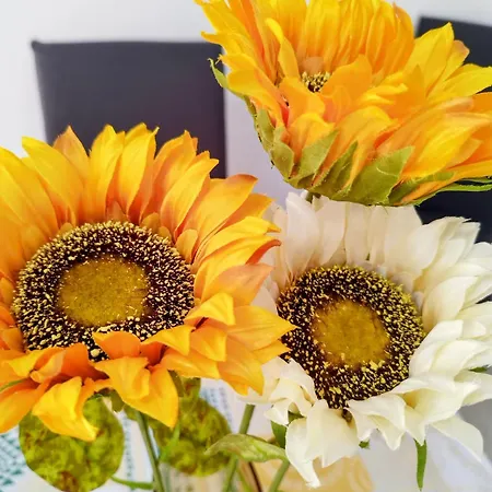 Tatil Evi Casa Girasol Los Cristianos (Tenerife)